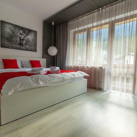 Hrodberht Ski Apartment Buşteni エクステリア 写真