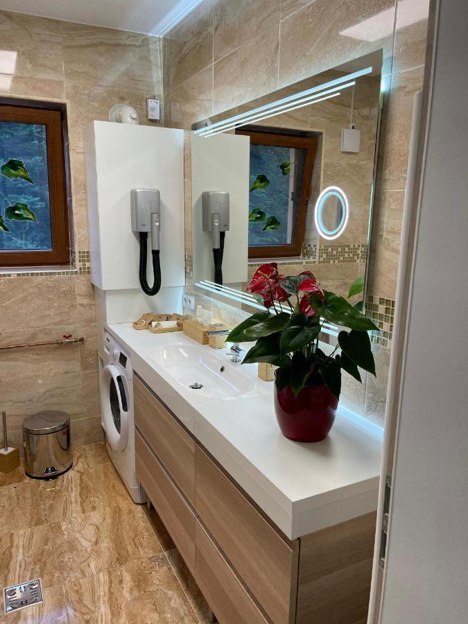 Hrodberht Ski Apartment Buşteni エクステリア 写真