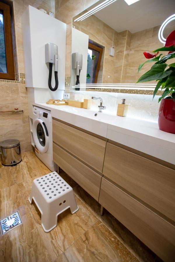 Hrodberht Ski Apartment Buşteni エクステリア 写真