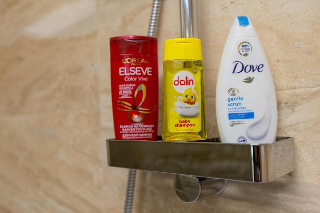 Hrodberht Ski Apartment Buşteni エクステリア 写真