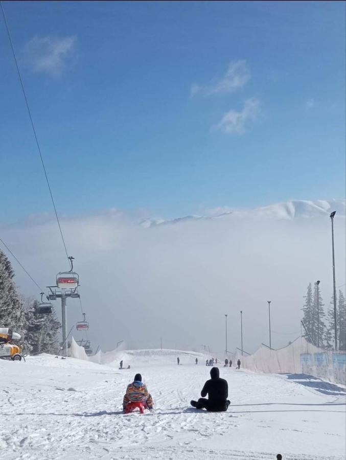Hrodberht Ski Apartment Buşteni エクステリア 写真