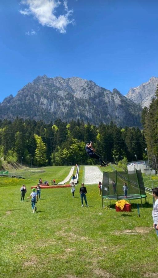 Hrodberht Ski Apartment Buşteni エクステリア 写真